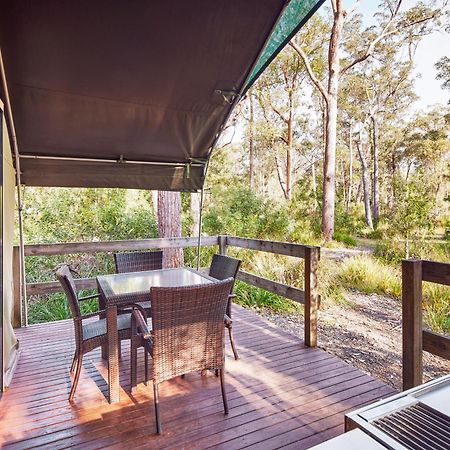 Nrma Darlington Beach Holiday Resort Arrawarra Eksteriør billede