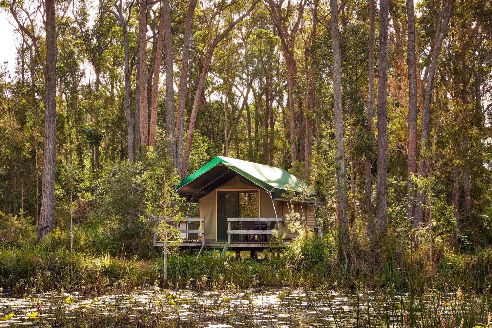Nrma Darlington Beach Holiday Resort Arrawarra Eksteriør billede