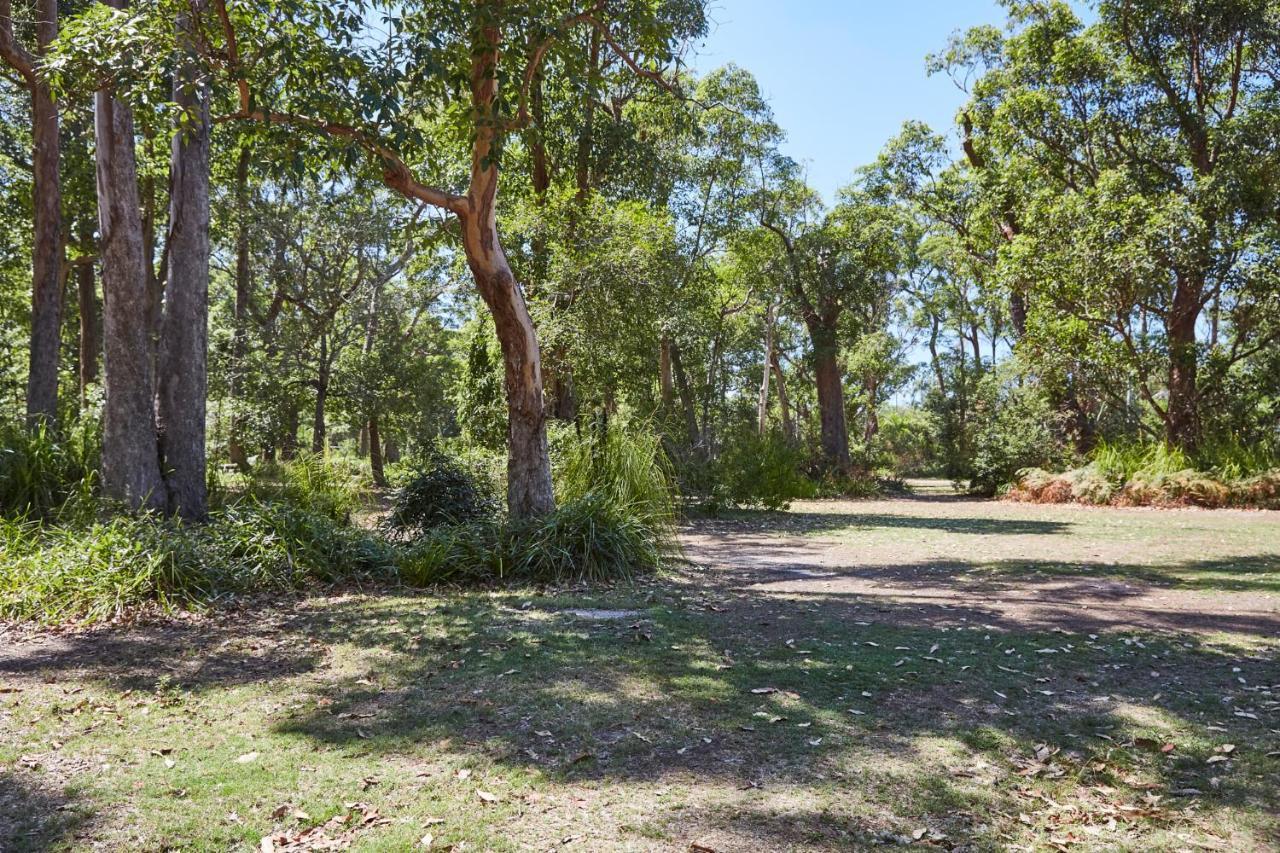 Nrma Darlington Beach Holiday Resort Arrawarra Eksteriør billede